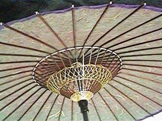 日傘を開いて見たところ