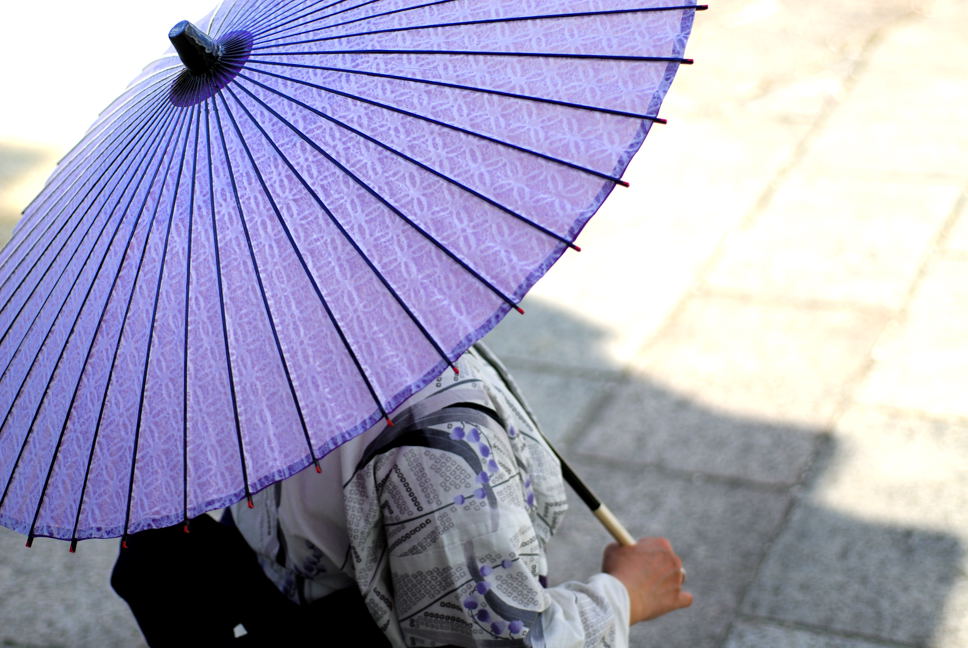 和日傘の写真　薄紫色
